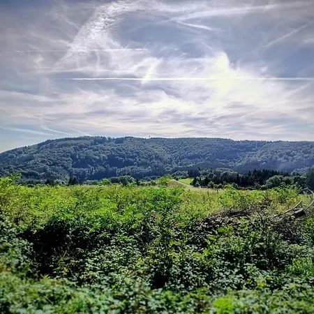 Eifelurlaub - Am Stausee Bitburg